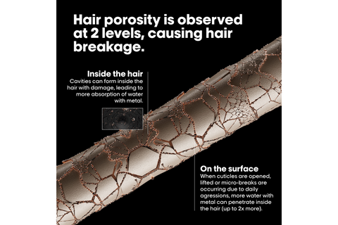 L'Oréal Professionnel Metal Detox Pre Shampoo 300ml